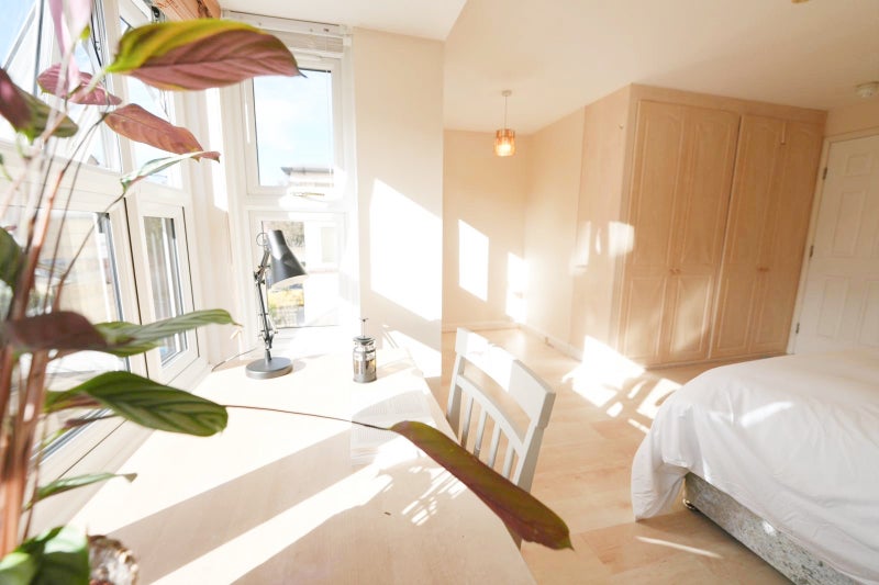 Huge Master Room in Bright House