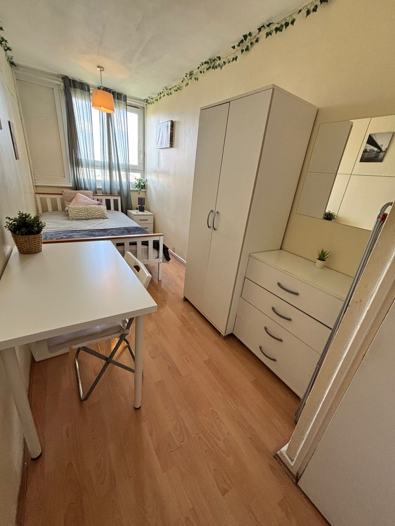 Double Room near Mile End / Bethnal Green (E3)