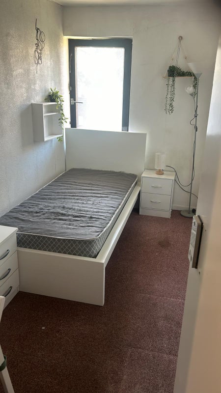 🏡 Single Room Near Gospel Oak