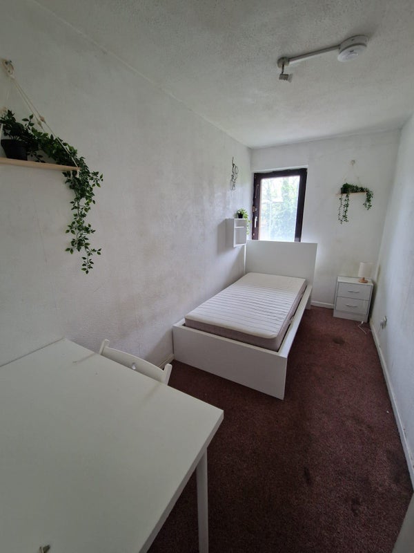 🏡 Kentish Town Room Available from May 🌸