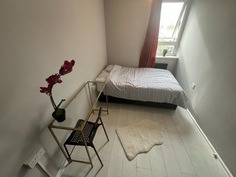  New Single Room in Poplar🥑