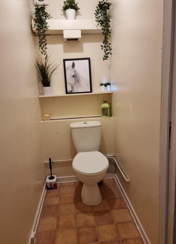 Stunning Double Room In Mile End!