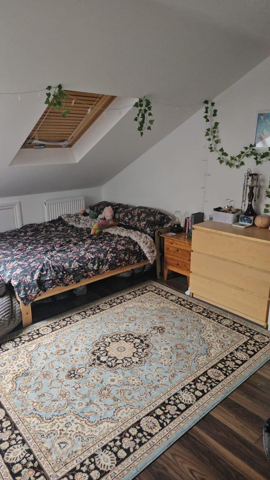 NEWLY RENOVATED LARGE STUDIO IN IMMACULATE CONDITION