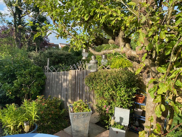 Lovely single room in a leafy, residential north London area