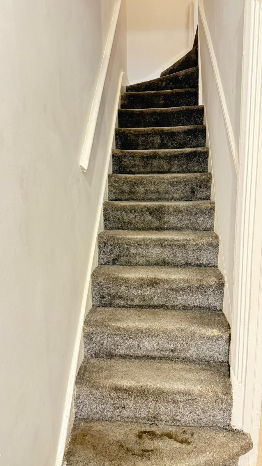 Double room in TOTTENHAM